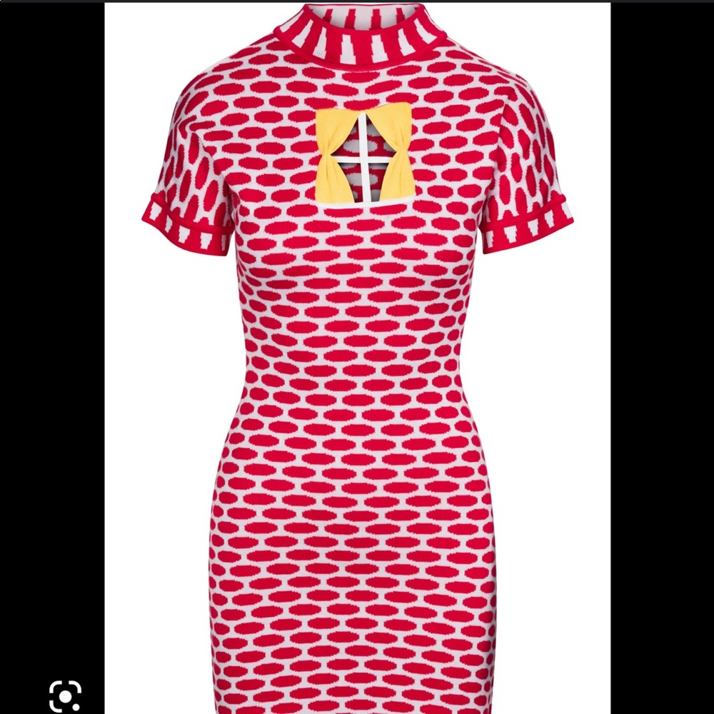Fashion Brand Company brick house dress :)